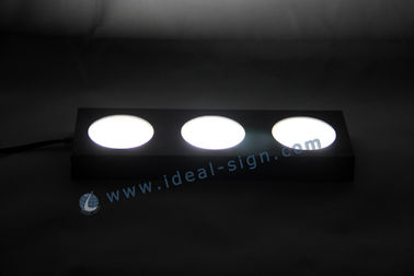 LED Acrylic Liquor Bottle Display Standing / Glorifier PS Injection Plastic Case