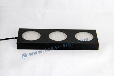 LED Acrylic Liquor Bottle Display Standing / Glorifier PS Injection Plastic Case