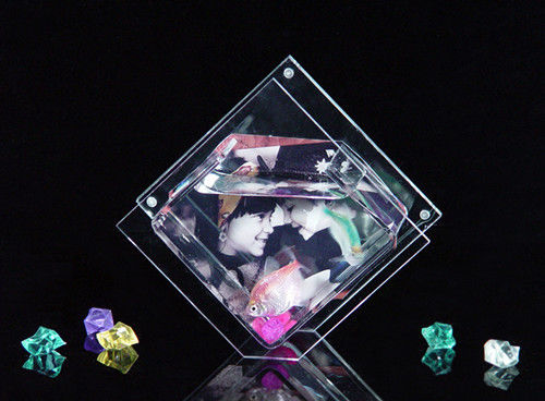 Fashionable Engraving Acrylic Fish Aquarium , Pmma / Acrylic Photo Frames